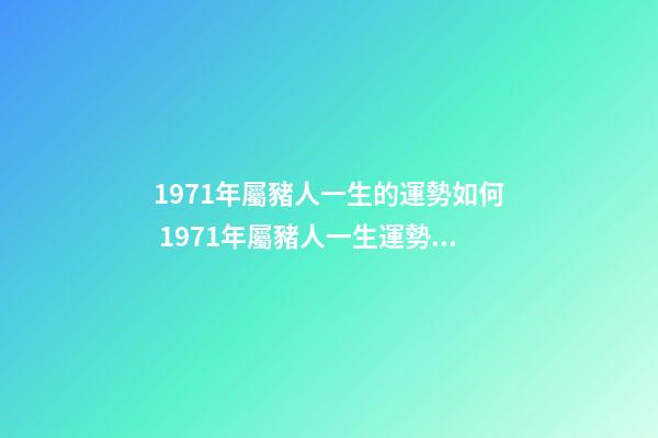 1971年屬豬人一生的運勢如何 1971年屬豬人一生運勢是什么-第1張-觀點-玄機派